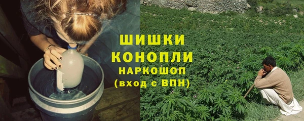 дурь Арсеньев