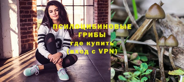 а пвп мука Аркадак