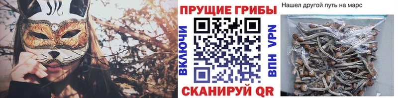 MEGA онион  Краснослободск  Галлюциногенные грибы Psilocybine cubensis 